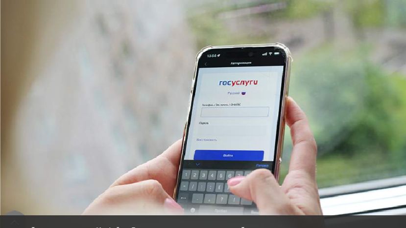 Иностранцы смогут заявить о желании переехать в РФ через «Госуслуги» с 2027 года смотреть онлайн