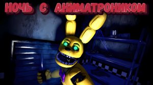 НОЧЬ С АНИМАТРОНИКАМИ | Animatronic Nights