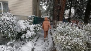 детский сад 84