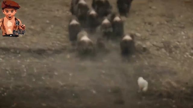 GARIK GARIK ПОЛЯРНЫЙ ВОЛК🙏 смотреть онлайн