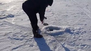 Судак порадовал нас на озере Бирсуат_новая карта открыта)