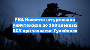РИА Новости: штурмовики уничтожили до 200 военных ВСУ при зачистке Гуляйполя