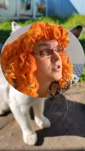 🤣 смотреть онлайн