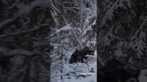 Клип_ Лесик отжигает