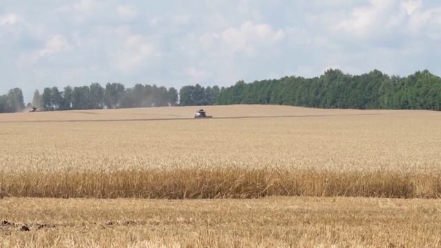 Три фермера из Нижегородской области выиграли гранты на развитие агротуризма смотреть онлайн