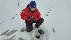 По сугробам топаем за окунем. Рыбалка на балансир и блесну на Горьковском водохранилище.