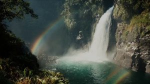 З Е Я. (кельтский фолк)