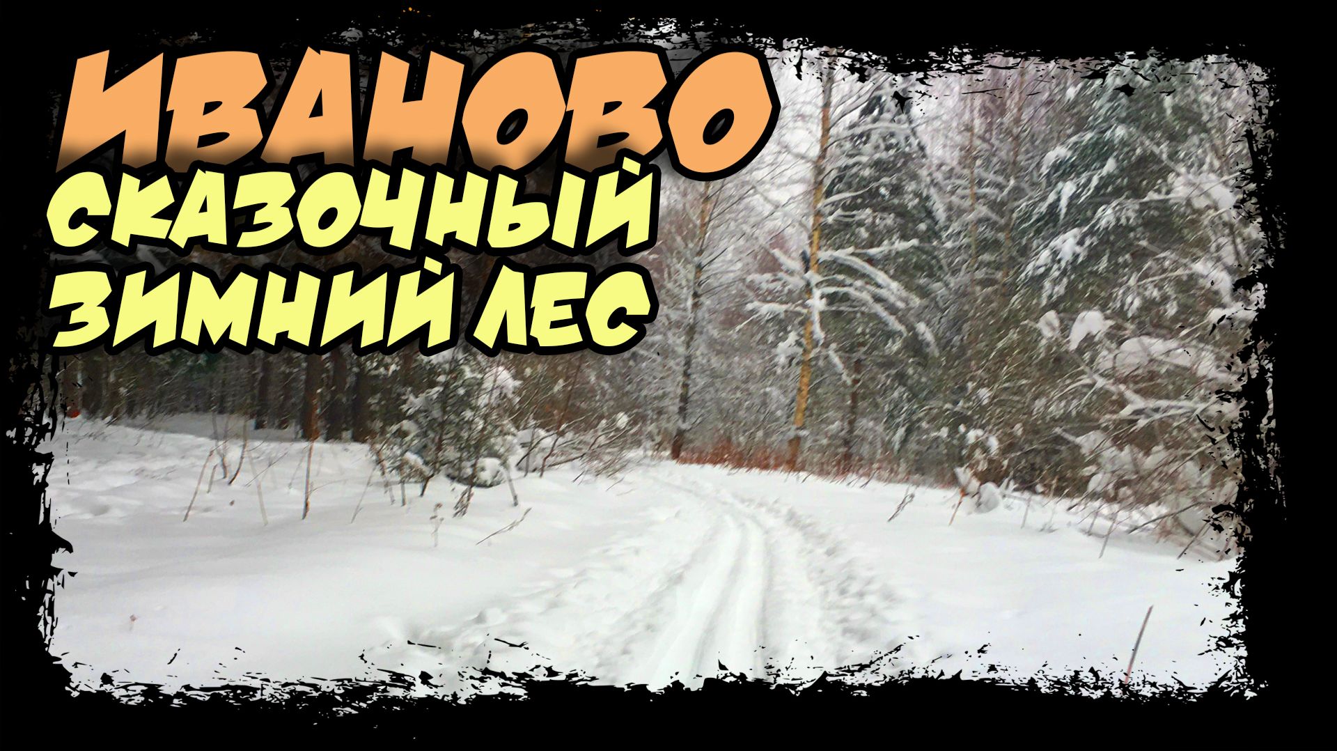 Ивановский зимний лес. Первая лыжня. #иваново #лыжня смотреть онлайн