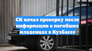 СК начал проверку после информации о погибших младенцах в Кузбассе