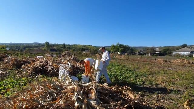 Ты седина жаль что видна. Братья из Михайловки смотреть онлайн