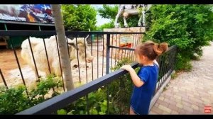 Какие РАЗНЫЕ КОТЫ! Маркиз увидел Люсю и дал дёру, а Марсель наоборот!