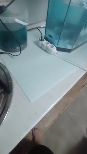 продолжение стрима 2.