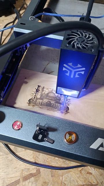 1000002343.mp4 смотреть онлайн