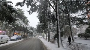 ул. Павлова