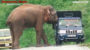 Новости Сегодня 13.01.2026  - ЧП, Катаклизмы, Россия, Москва, События Дня, США Европа 🎬 1080p