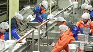 С начала 2026 года общероссийский вылов превысил 139 тыс. тонн