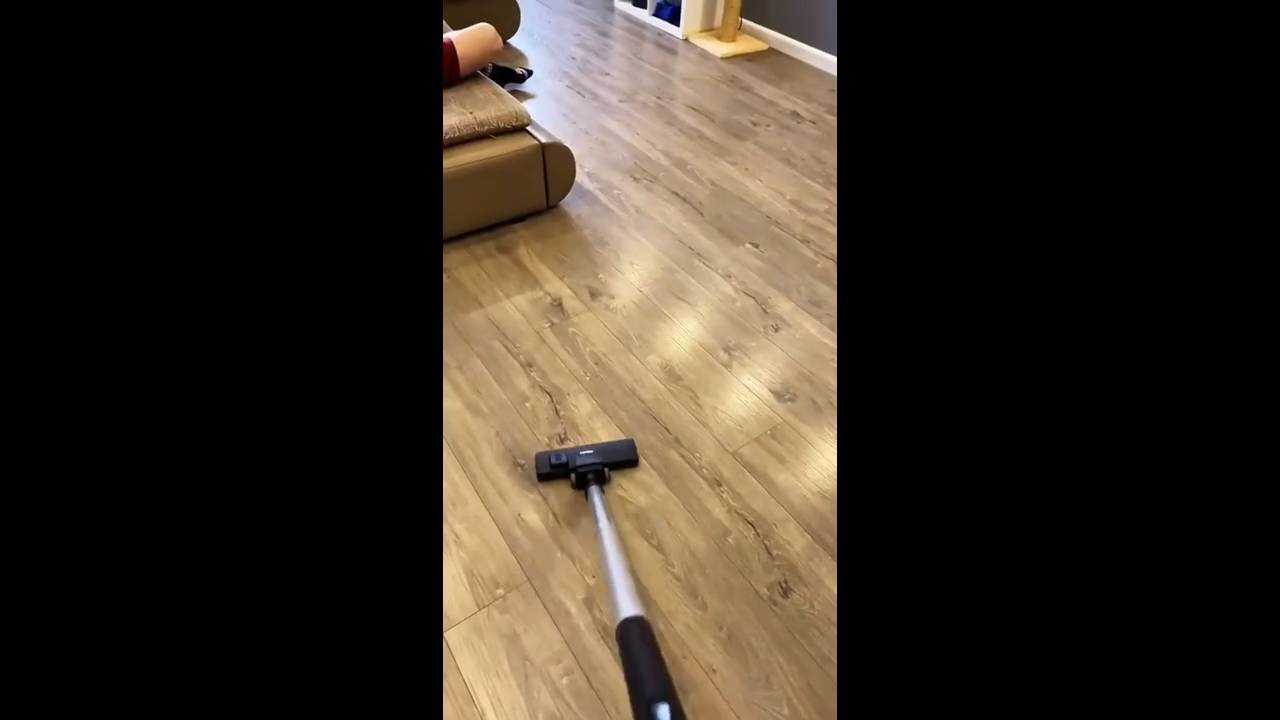 #смешныевидео -395 смотреть онлайн