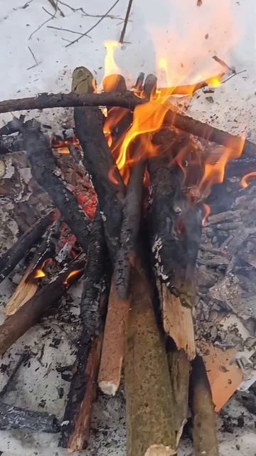 С старым новым годом😀🎉🎉 смотреть онлайн