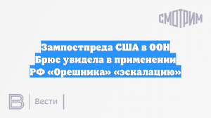 Зампостпреда США в ООН Брюс увидела в применении РФ «Орешника» «эскалацию»