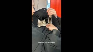 #смешныевидео -680