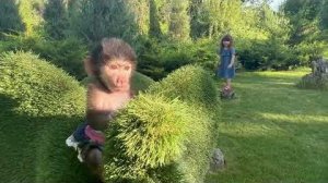 Люсе очень понравился ЗЕЛЁНЫЙ СЛОН, а Ангелина с Каролиной танцуют на полянке!