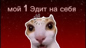 мой 1 Эдит?
