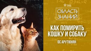 Собаки против кошек. Лекция Оса Арутюняна.