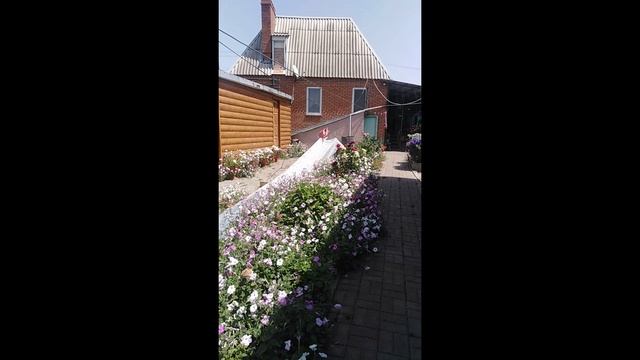 Летняя горка для внука.