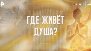Что известно про душу: фильм от НМГ ДОК расскажет, где она живет
