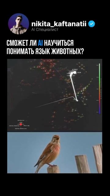 ИИ распознает звуки животных! смотреть онлайн