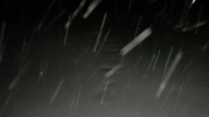 Ночной выход к Обскому морю в лесу под DSBM. 12.01.2026 г. -7 °C. Темно, валит снег, не видно не зги