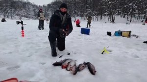 13.01.26 г. РК Волна.