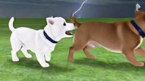 боятся гроза