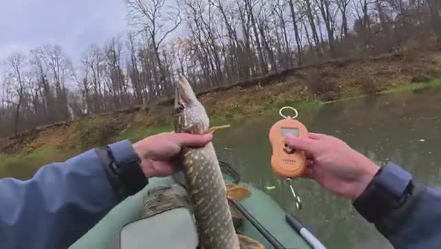 ШИКАРНЫЙ КЛЁВ ЩУКИ НА СКАЗОЧНО КРАСИВОЙ РЕКЕ! Попал под дождь со снегом. Рыбалка. смотреть онлайн
