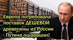 Европа потребовала поставок ДЕШЕВОЙ древесины из России - Путина ошарашил!