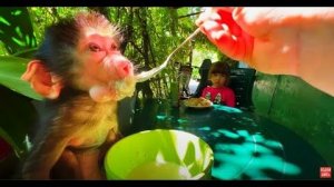 Пытаюсь накормить и Ангелину и Люсю- получилось НЕ ОЧЕНЬ)