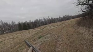 Туман 4.5 месяцев ЭГ впервые отдал голос по зайцу. Охота на зайца