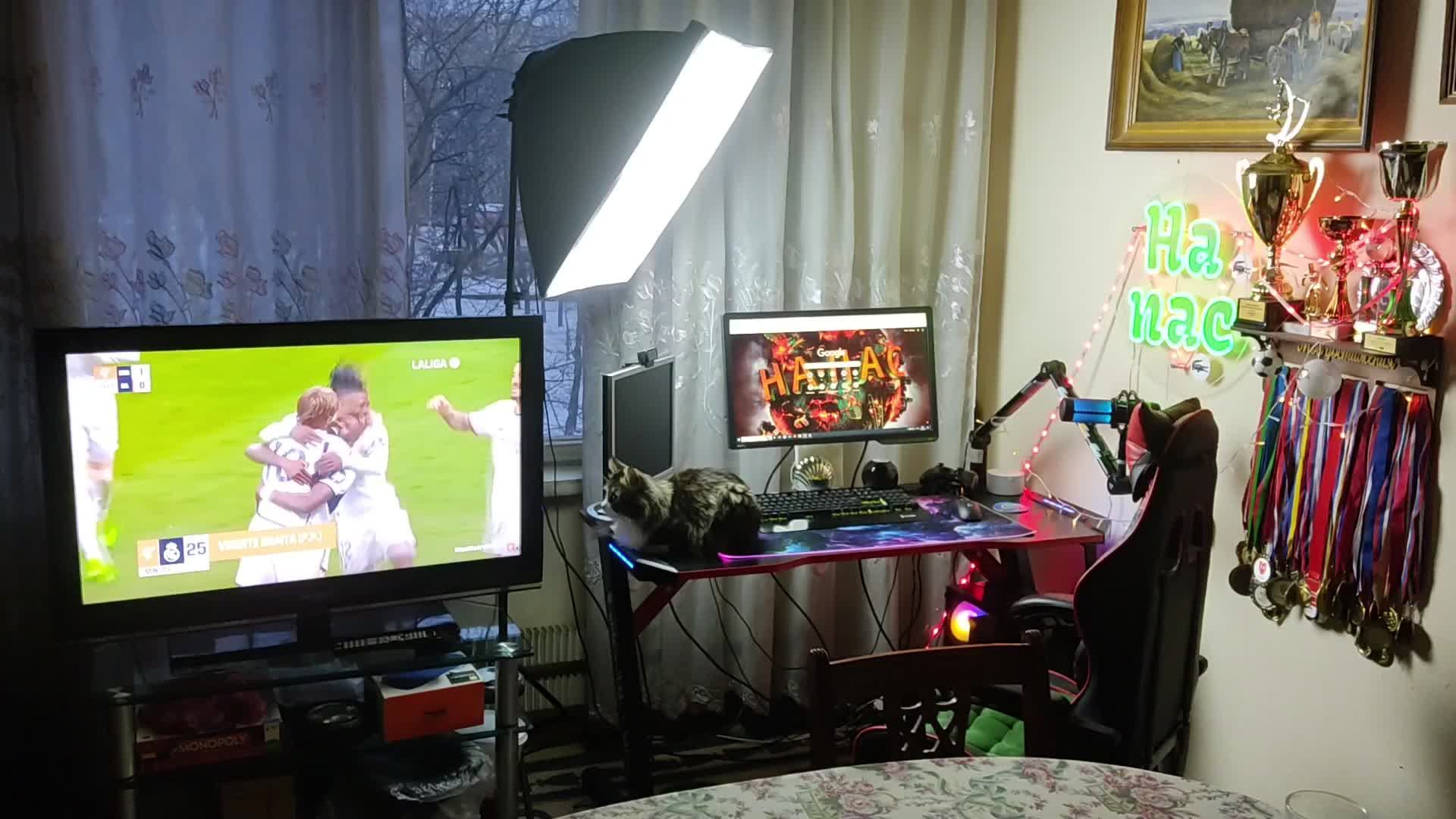 Вечерний стрим | ActiveMatter смотреть онлайн