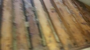 Как проходит зимовка карники ( лунц)  в зимовнике ( омшаннике )