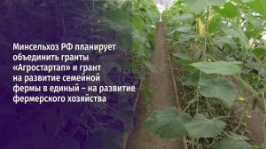В 2026 году в Белгородской области планируют оказать господдержку субъектам МСП в агросекторе