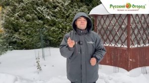 Используем снег на участке во благо!