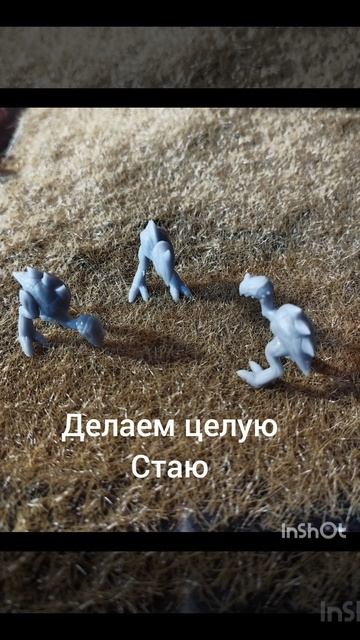 InShot_20260113_150419113.mp4