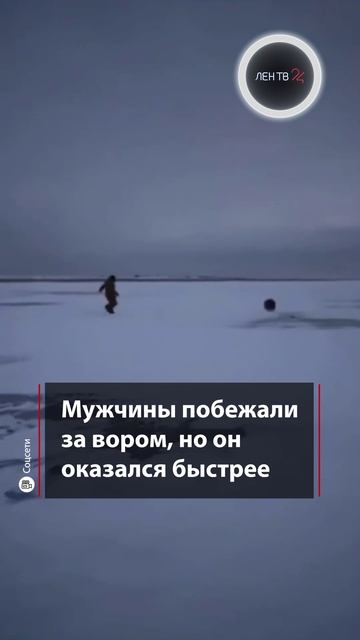 Кабан обокрал рыбаков смотреть онлайн