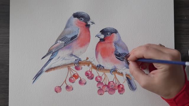 Рисуем очаровательных снегирей акварелью / Акварельная живопись смотреть онлайн
