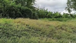 Вышли за территорию отеля 13.01.26.