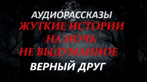 СТРАШНЫЕ РАССКАЗЫ НА НОЧЬ-ВЕРНЫЙ ДРУГ