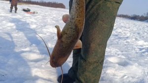 На Урми в Песчаном 4 / DG_KHAGAY