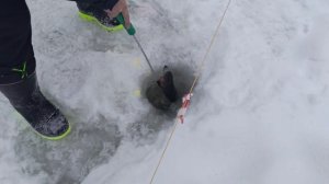 запуск 13 января Водопад