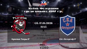 ХК "Красные Тигры" 17 - ХК "СКА Петергоф" 17 | 17.01.2026