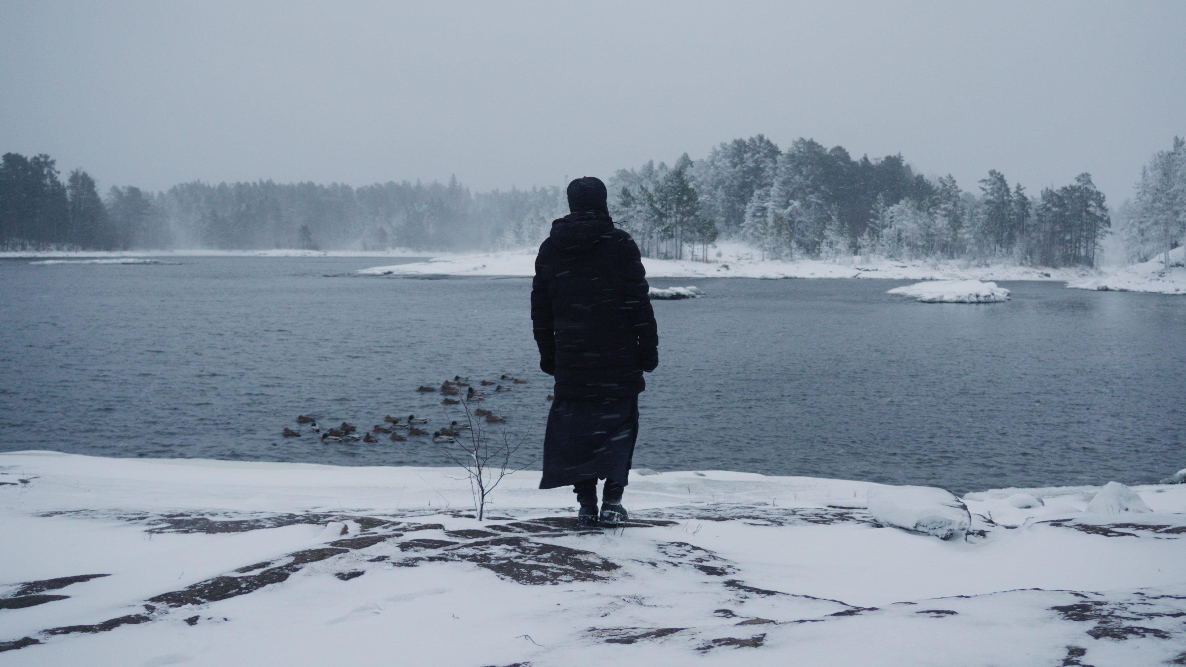 АНГЕЛЬСКИЯ ПРЕДЫДИТЕ СИЛЫ, ГЛАС 6  | ХОР БРАТИИ ВАЛААМСКОГО МОНАСТЫРЯ #валаам #знаменное #рождество смотреть онлайн